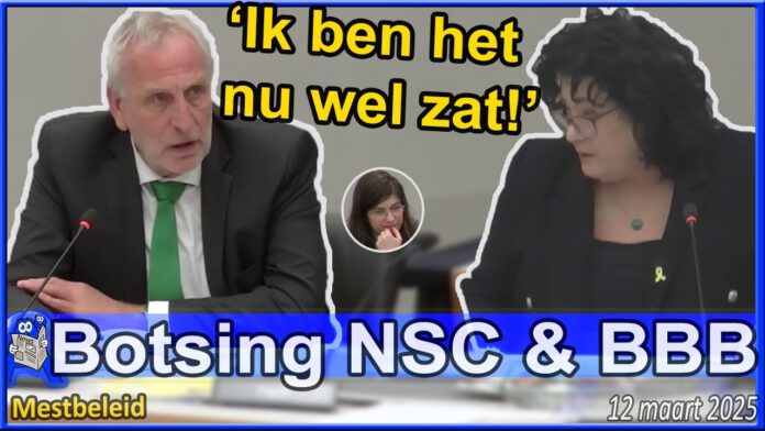 Msz5dAnEm4U.jpg